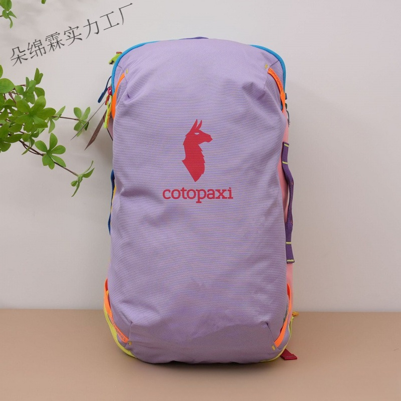 Wasserdichter Farbblock-Rucksa – Women Bags Waterproof Bewertung und Preis