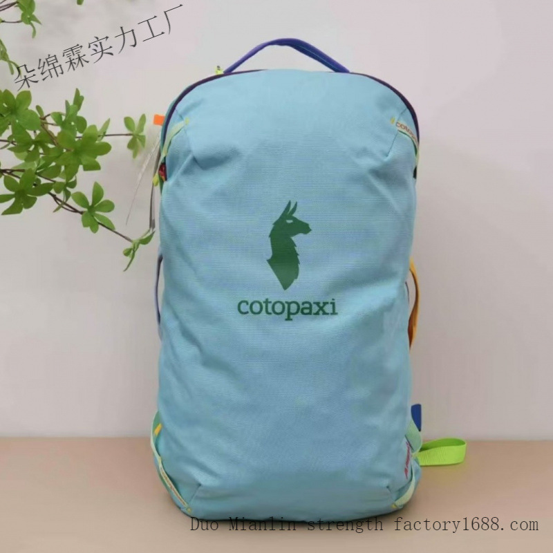Wasserdichter Farbblock-Rucksa – Women Bags Waterproof Bewertung und Preis