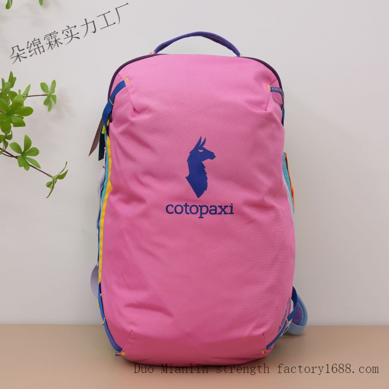 Wasserdichter Farbblock-Rucksa – Women Bags Waterproof Bewertung und Preis