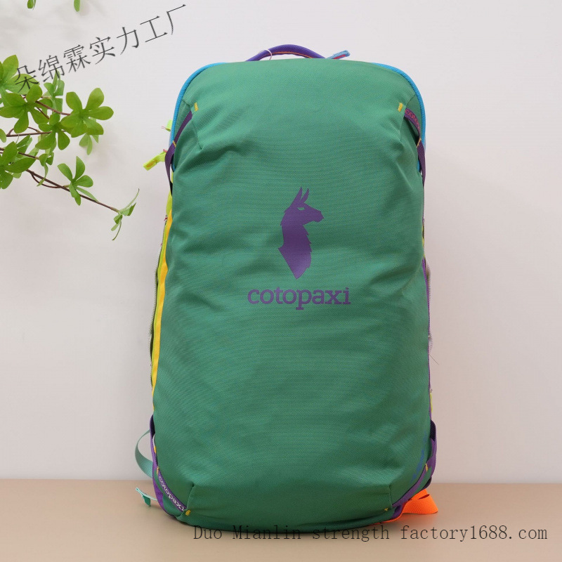 Wasserdichter Farbblock-Rucksa – Women Bags Waterproof Bewertung und Preis